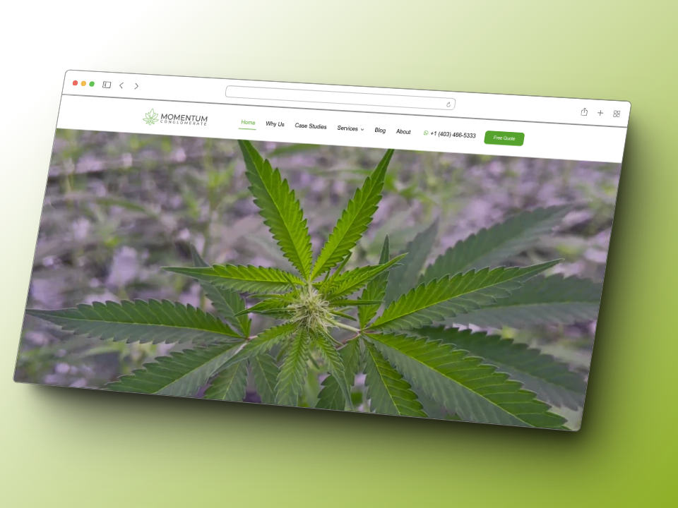 Momentum Conglomerate - Web corporativa WordPress para consultoría canadiense