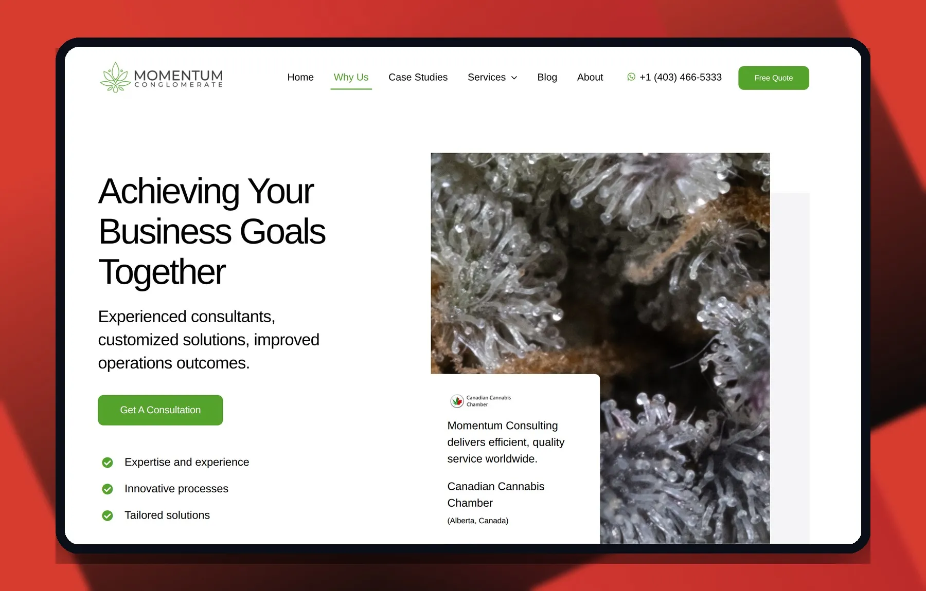 Momentum Conglomerate — Vista laptop