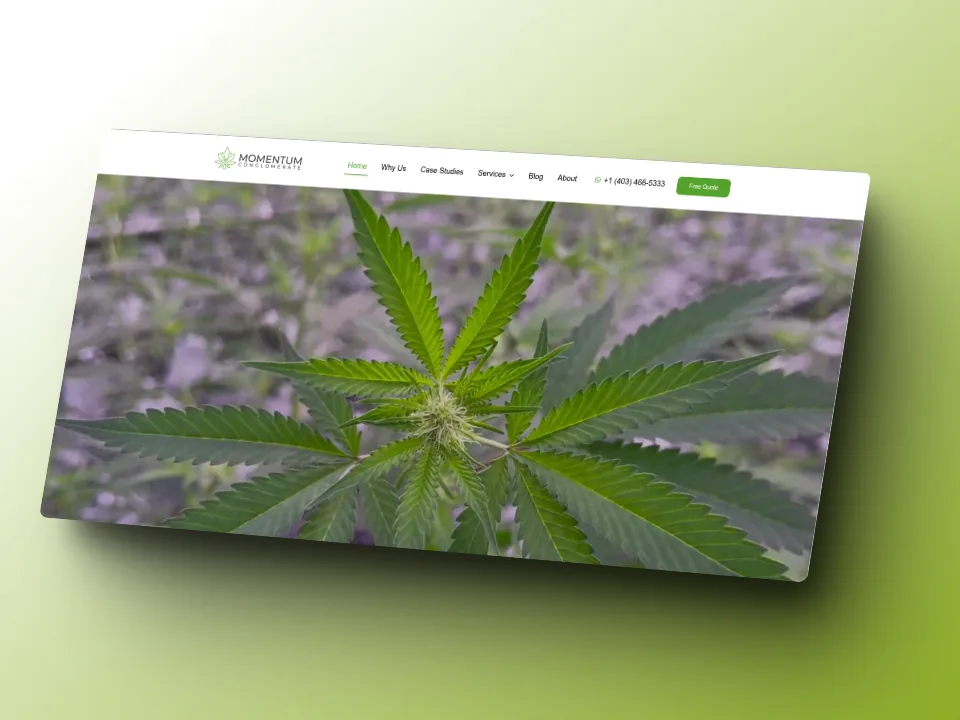 Momentum — Hero homepage