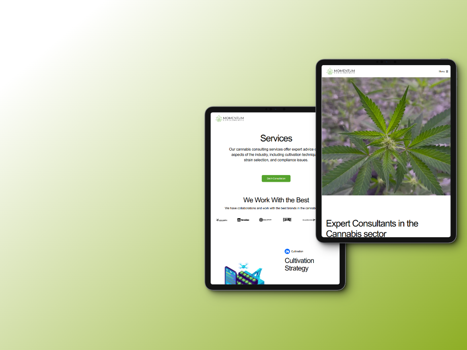 Momentum services section