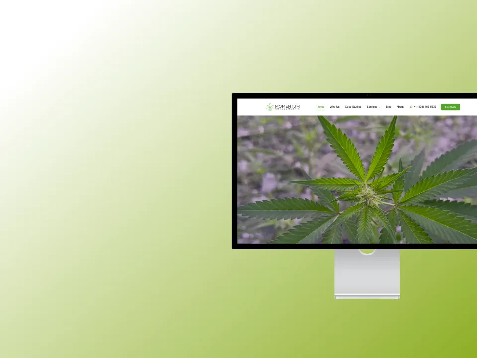 Momentum — Layout casos